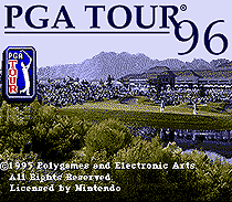 PGA高尔夫公开赛96'